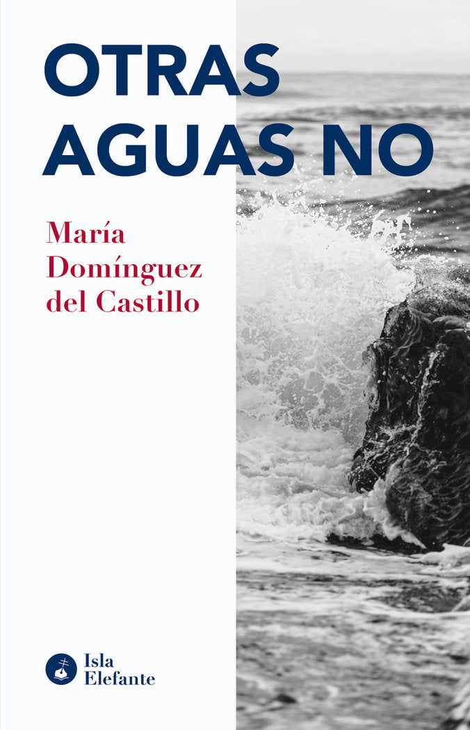 OTRAS AGUAS NO, de DOMINGUEZ DEL CASTILLO, MARIA | portada del libro