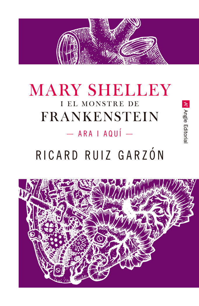 Mary Shelley i el monstre de Frankenstein., de Ruiz Garzón, Ricard | portada del libro