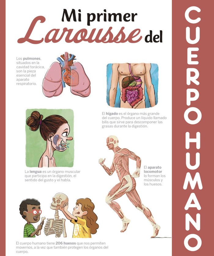 Mi primer Larousse del cuerpo humano, de Larousse Editorial | portada del libro