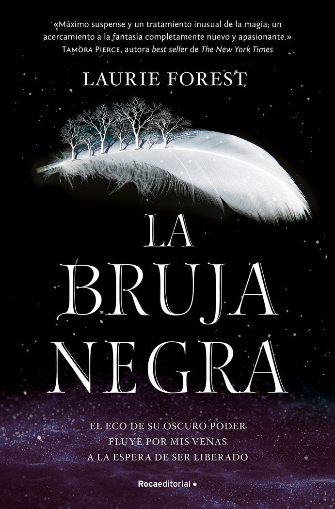 La bruja negra, de Forest, Laurie | portada del libro