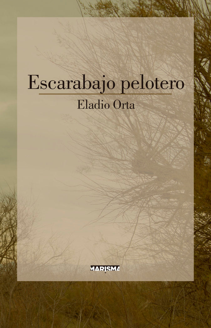 EL ESCARABAJO PELOTERO, de ORTA , ELADIO | portada del libro