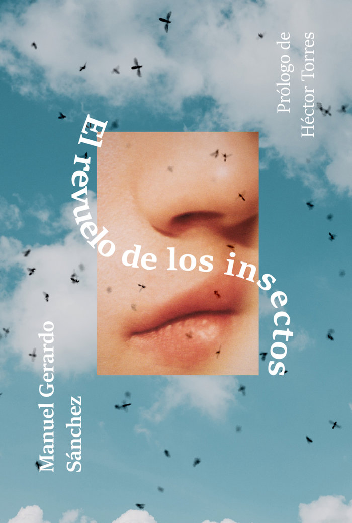 EL REVUELO DE LOS INSECTOS, de GERARDO SáNCHEZ, MANUEL | portada del libro