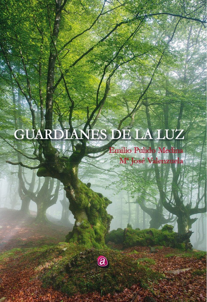 GUARDIANES DE LA LUZ, de PULIDO MEDINA | portada del libro
