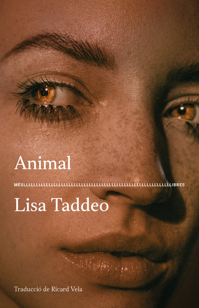 ANIMAL, de TADDEO, LISA | portada del libro