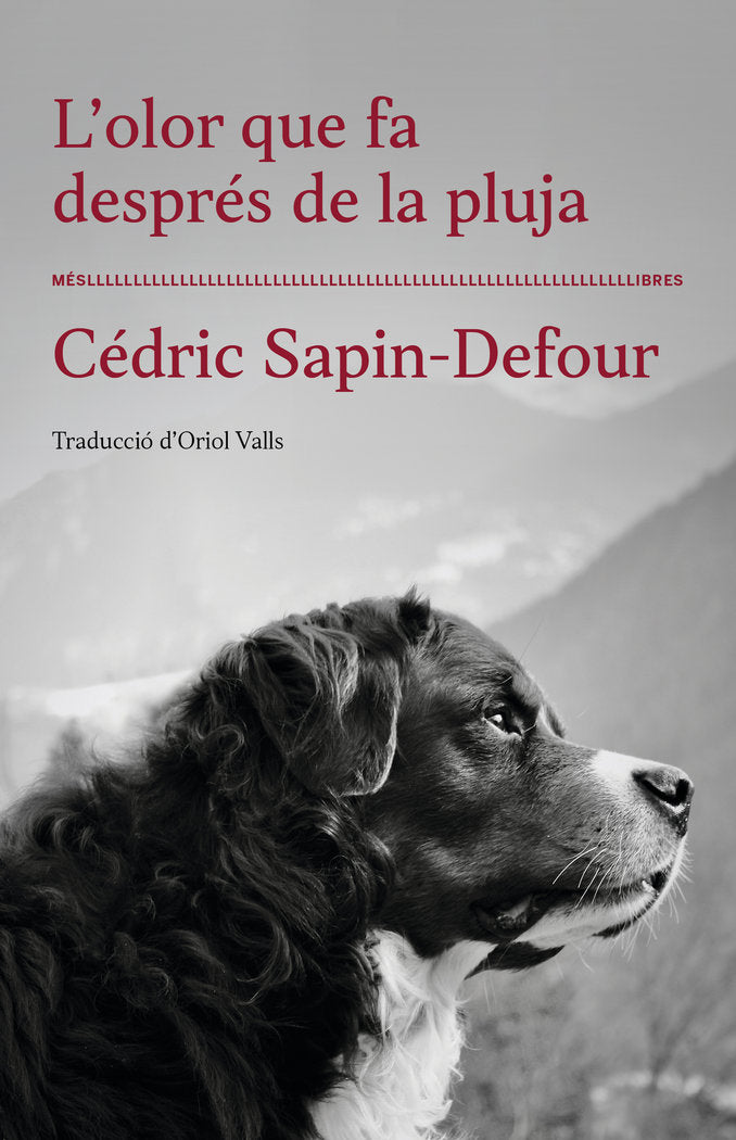 L´OLOR QUE FA DESPRÈS DE LA PLUJA, de SAPIN-DEFOUR, CEDRIC | portada del libro