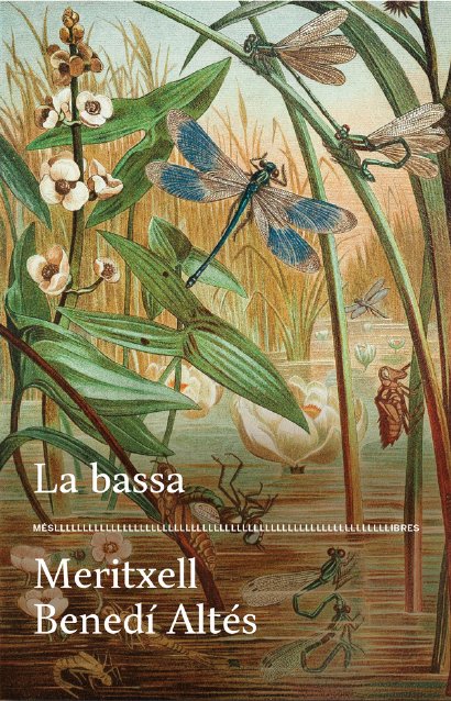 LA BASSA, de BENEDI, MERITXELL | portada del libro