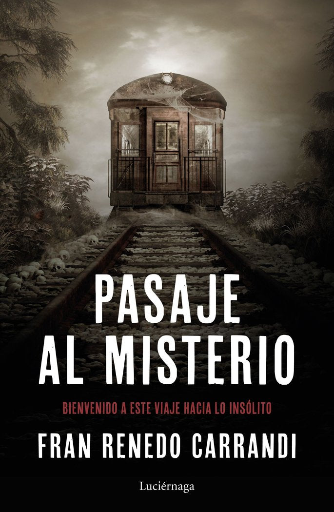 Pasaje al misterio, de Renedo, Francisco | portada del libro
