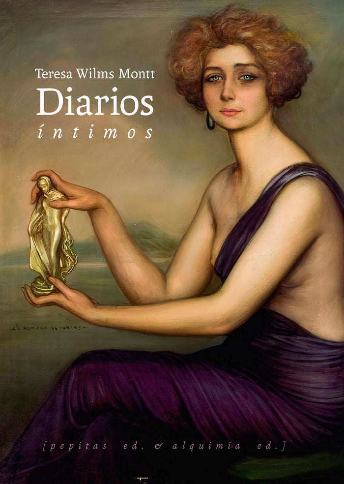 DIARIOS INTIMOS, de WILMS MONTT, TERESA | portada del libro