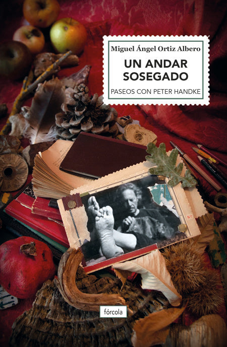 Un andar sosegado, de Ortiz Albero, Miguel Ángel | portada del libro