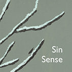 Sin/ Sense, de AA.VV. | portada del libro