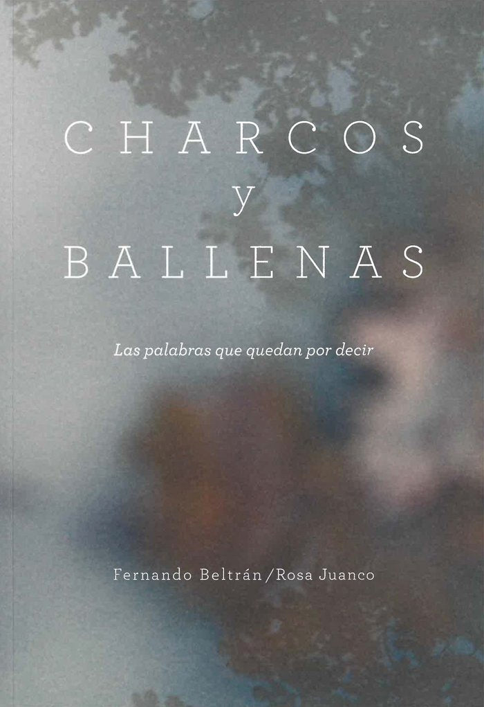 Charcos y BCllenas, de Beltrán Fernández, Fernando | portada del libro
