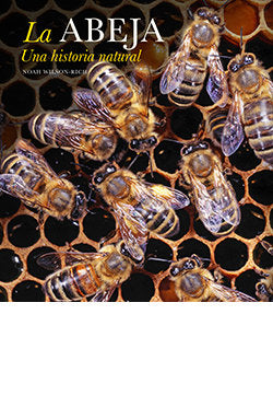 LA ABEJA, de VV.AA. | portada del libro