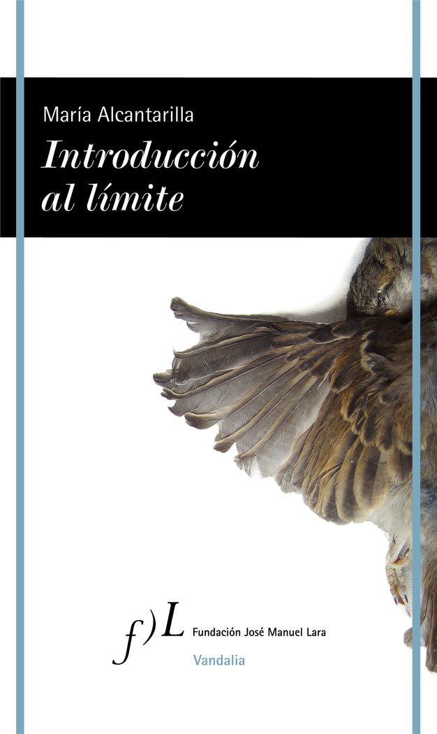 Introducción al límite, de Alcantarilla, María | portada del libro