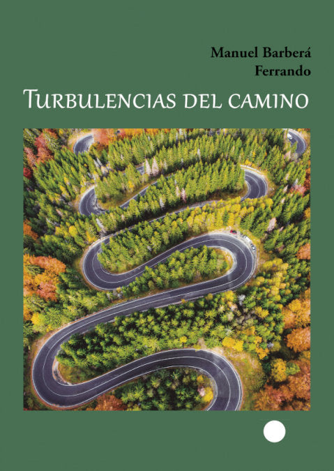 Turbulencias del camino, de Barberá Ferrando, Manuel | portada del libro