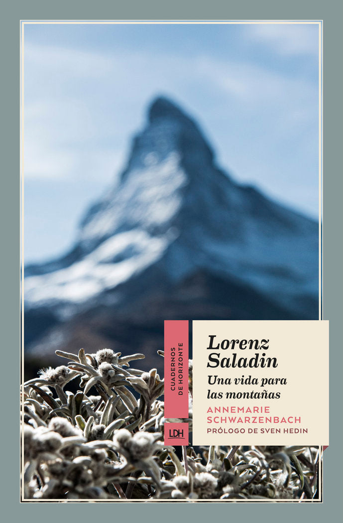 Lorenz Saladin, de Schwarzenbach, Annemarie | portada del libro