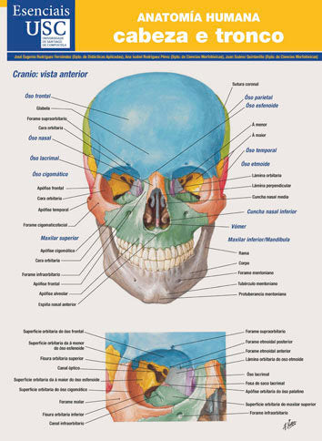 Anatomía humana, de Rodríguez Fernández, José Eugenio | portada del libro