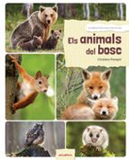 Els animals del bosc, de CHRISTINE POMPEI | portada del libro