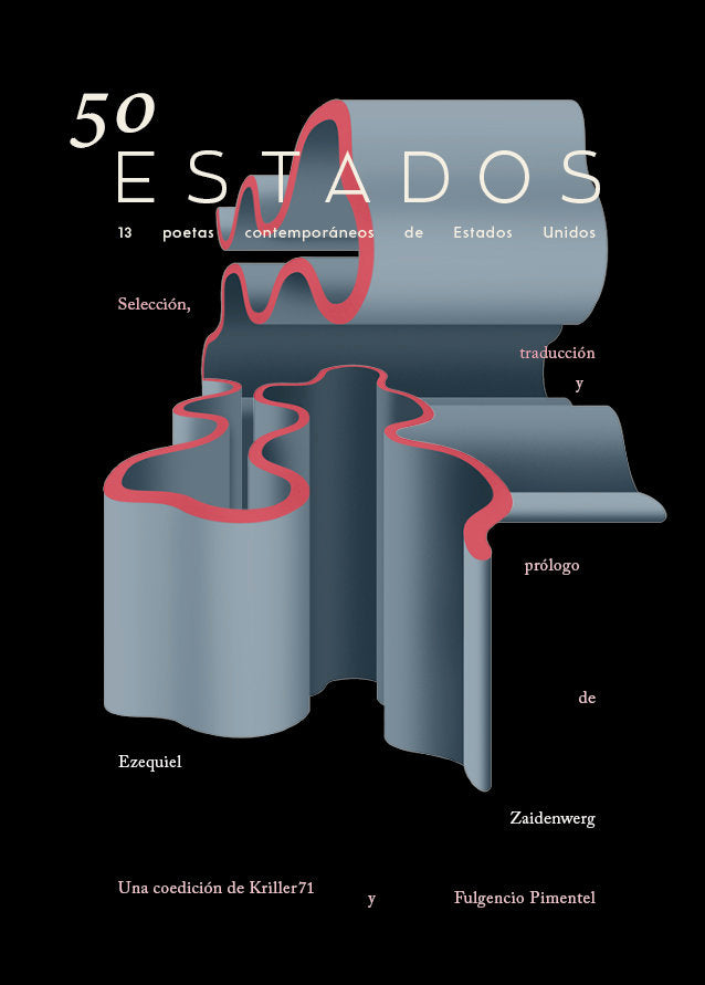 50 ESTADOS, de ZAIDENWERG, EZEQUIEL | portada del libro