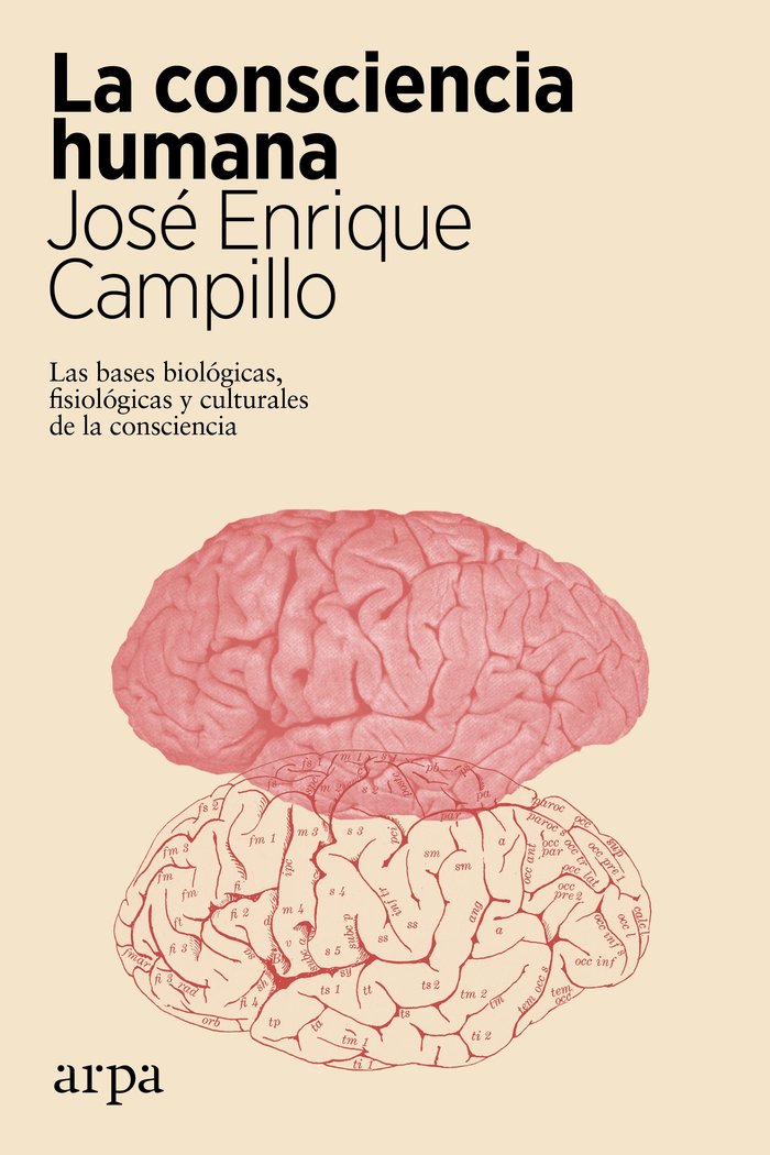 CONSCIENCIA HUMANA,LA, de CAMPILLO,JOSE ENRIQUE | portada del libro