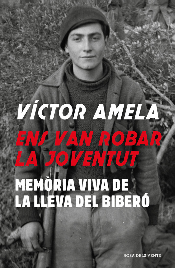 Ens van robar la joventut, de Amela, Víctor | portada del libro