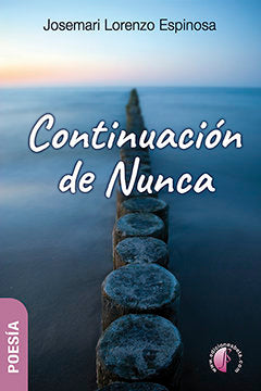 Continuación de Nunca, de LORENZO ESPINOSA, JOSEMARI | portada del libro