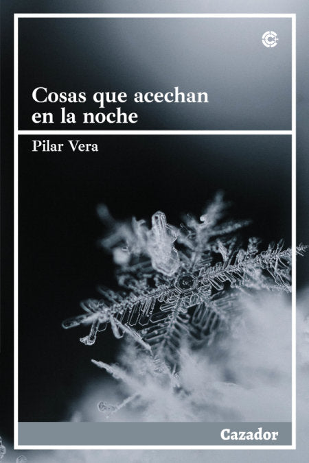 COSAS QUE ACECHAN EN LA NOCHE, de VERA ROYO, PILAR | portada del libro