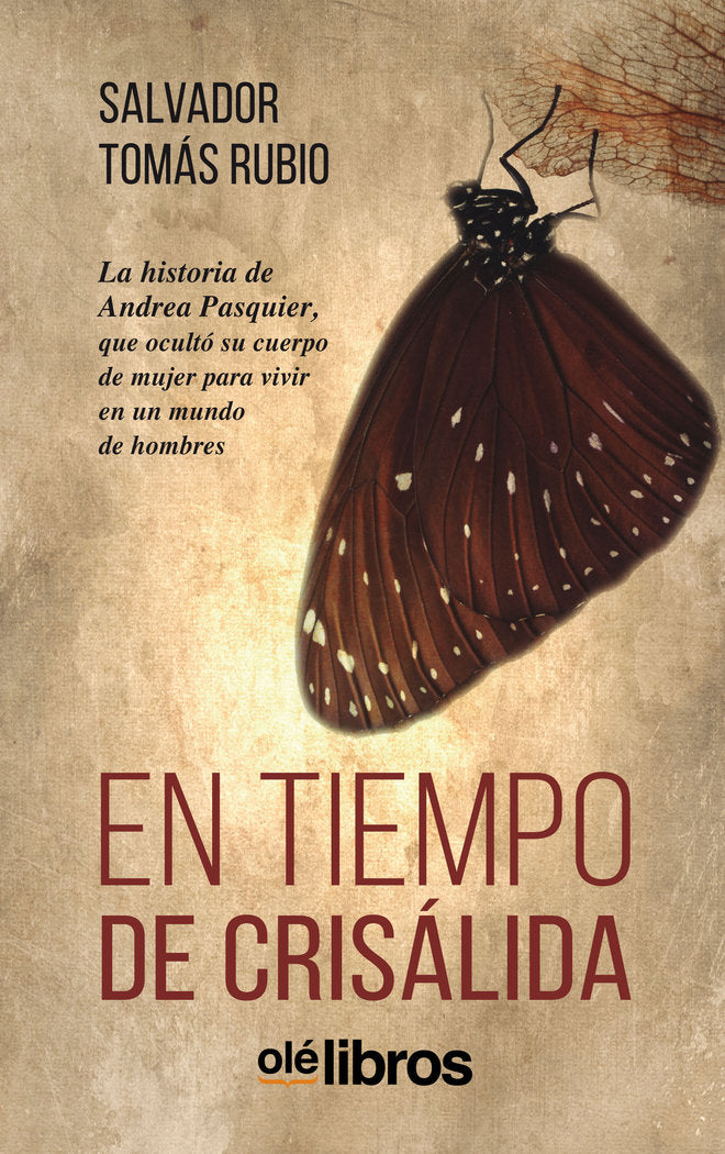 En tiempo de crisálida, de Tomás Rubio, Salvador | portada del libro