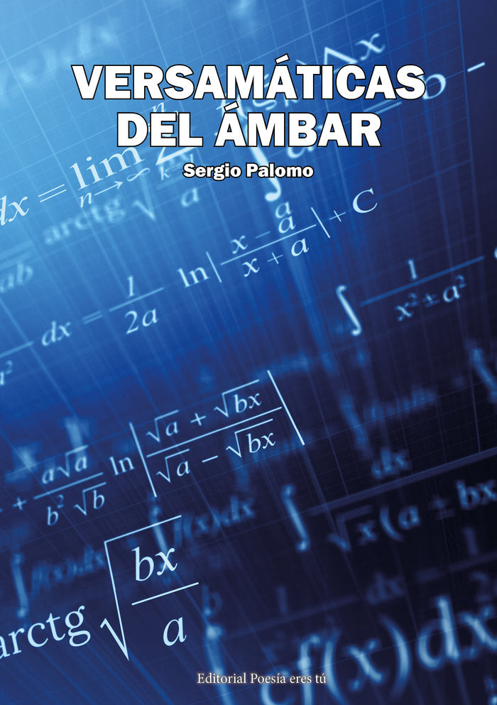 VERSAMATICAS DEL AMBAR, de Palomo, Sergio | portada del libro