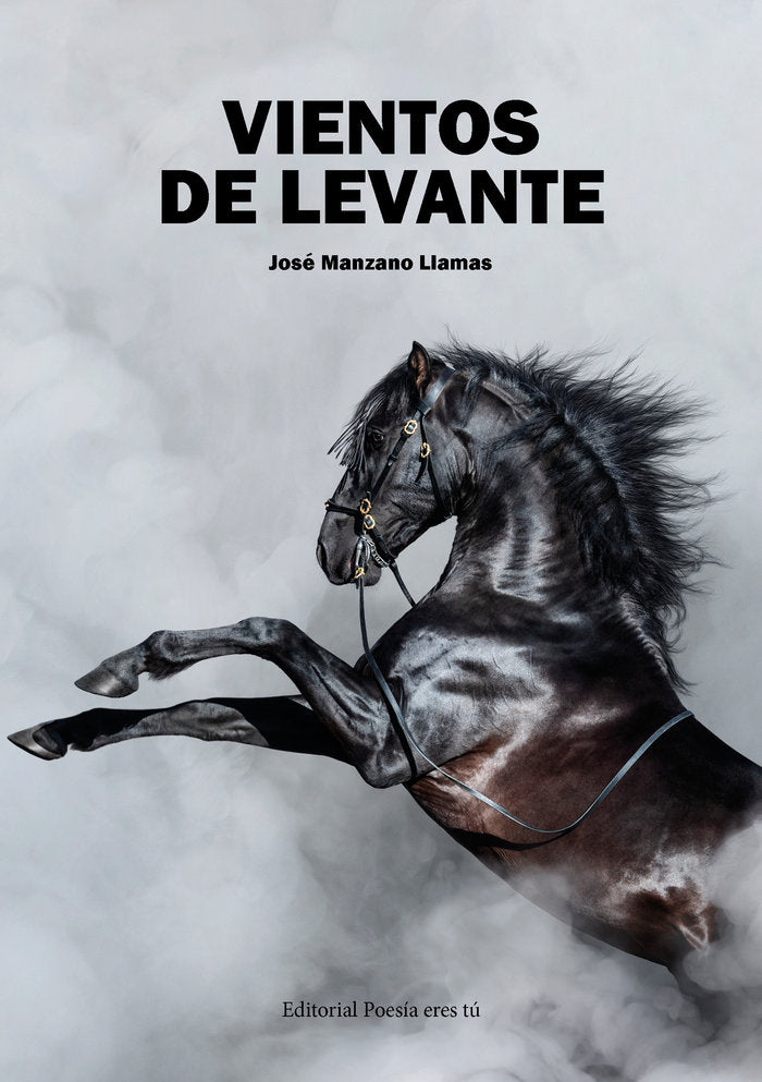 VIENTOS DE LEVANTE, de Manzano Llamas, José | portada del libro