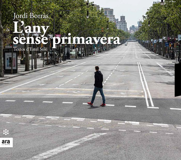 L'any sense primavera, de Borràs i Abelló, Jordi | portada del libro