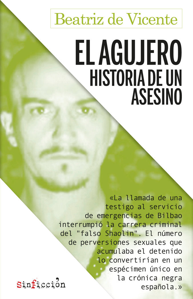 El agujero. Historia de un asesino, de de Vicente, Beatriz | portada del libro