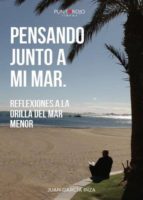 Pensando junto a mi mar, de JUAN GARCIA INZA | portada del libro