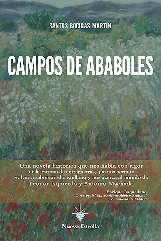 CAMPOS DE ABABOLES, de BOCIGAS MARTIN, SANTOS | portada del libro