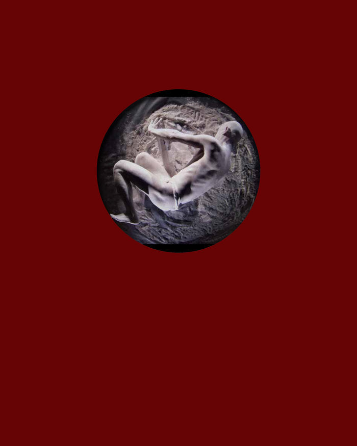 THE VOID, de Scholz, Wolfgang H. | portada del libro