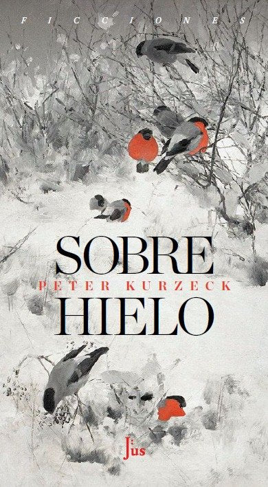 Sobre hielo, de Kurzeck, Peter | portada del libro