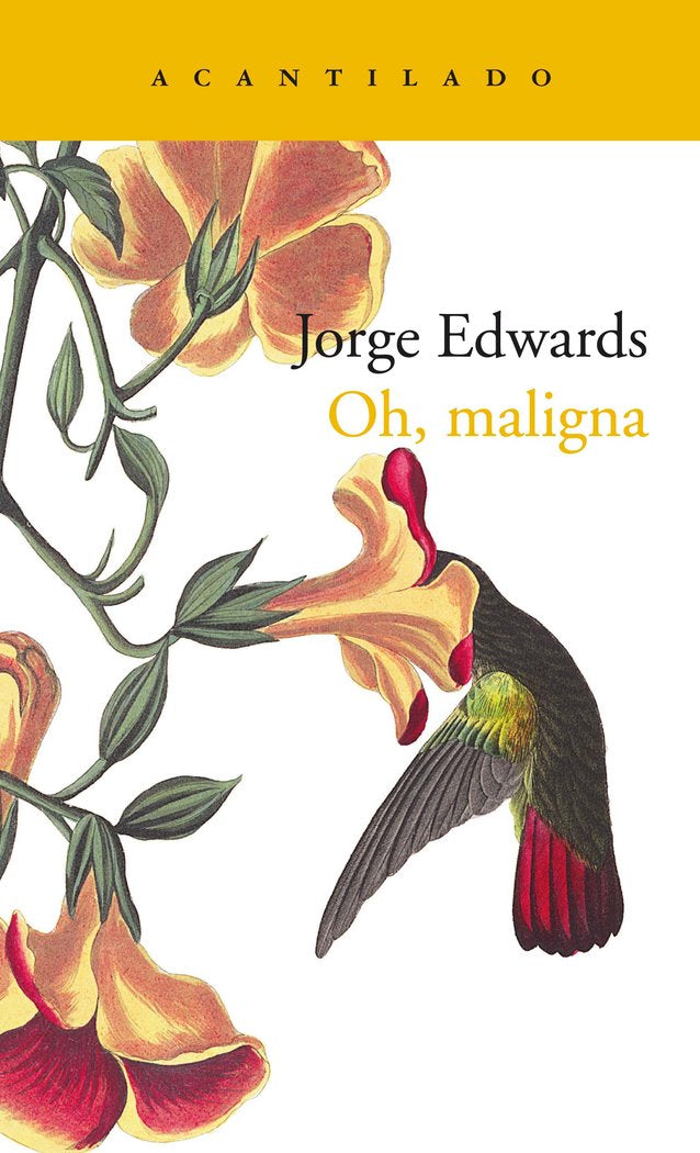 Oh, maligna, de Edwards Valdés, Jorge | portada del libro