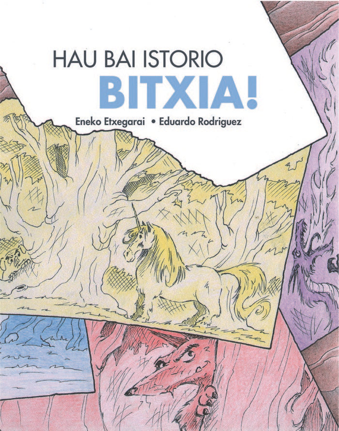 Hau bai historia bitxia, de Etxegarai Abecia | portada del libro