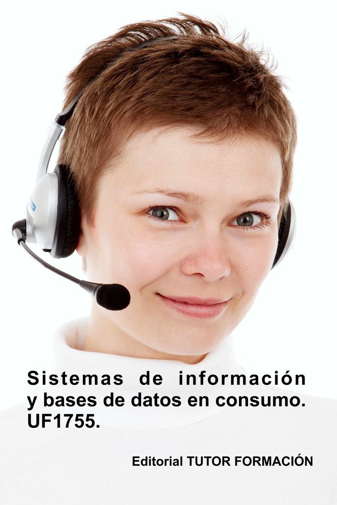 SISTEMAS DE INFORMACION Y BASES DE DATOS EN CONSUMO. UF1755. | portada del libro