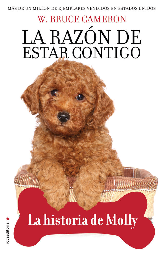 LA RAZON DE ESTAR CONTIGO LA HISTORIA DE, de CAMERON, W. BRUCE | portada del libro
