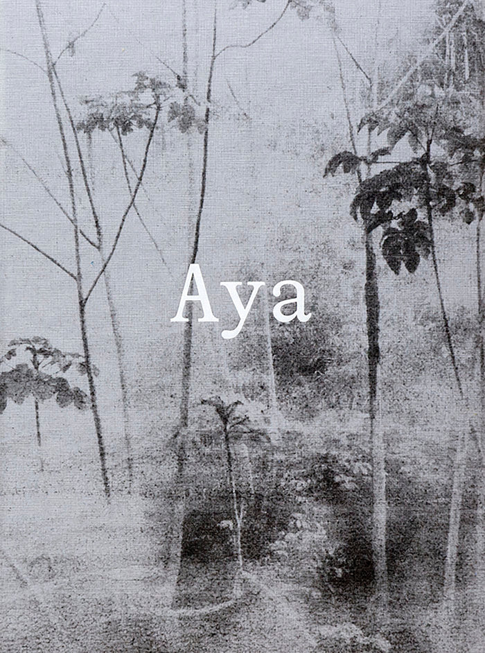 AYA    *, de Gross | portada del libro