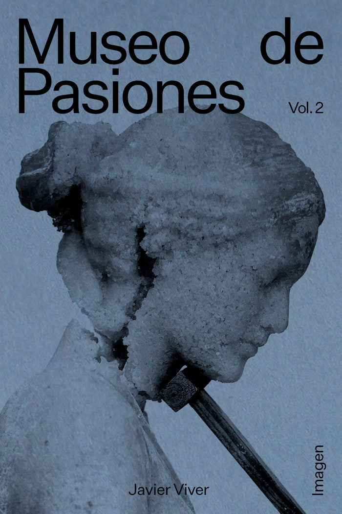 Museo de Pasiones. Imagen, de Viver, Javier | portada del libro