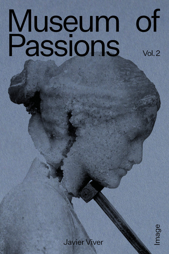 Museum of passions. Image, de VIVER, JAVIER | portada del libro