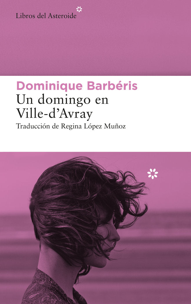 UN DOMINGO EN VILLE-DÆAVRAY, de BARBERIS, DOMINIQUE | portada del libro
