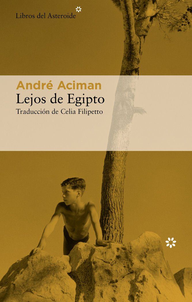 LEJOS DE EGIPTO, de ACIMAN, ANDRE | portada del libro