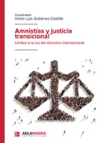 Amnistías y justicia transicional, de Víctor Luis Gutiérrez Castillo | portada del libro