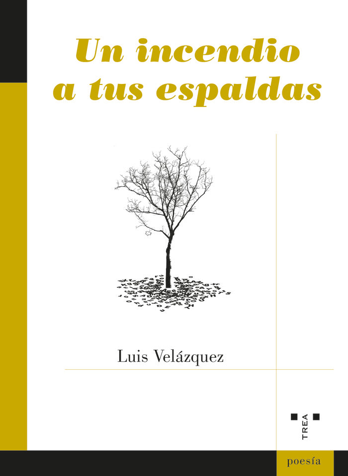 Un incendio a tus espaldas, de Velázquez Buendía, Luis | portada del libro