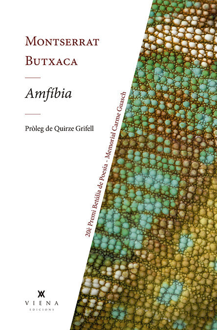 Amfíbia, de Butxaca Fernàndez, Montserrat | portada del libro