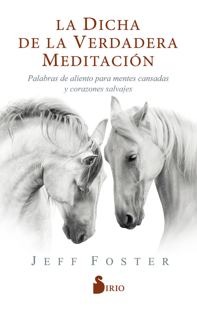 La dicha de la verdadera meditación, de Foster, Jeff | portada del libro