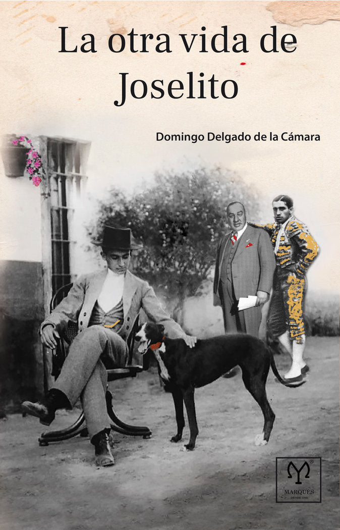 LA OTRA VIDA DE JOSELITO, de DOMINGO DELGADO DE LA CAMARA | portada del libro