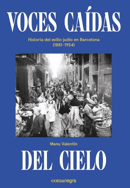 Voces caídas del cielo, de Valentín, Manu | portada del libro